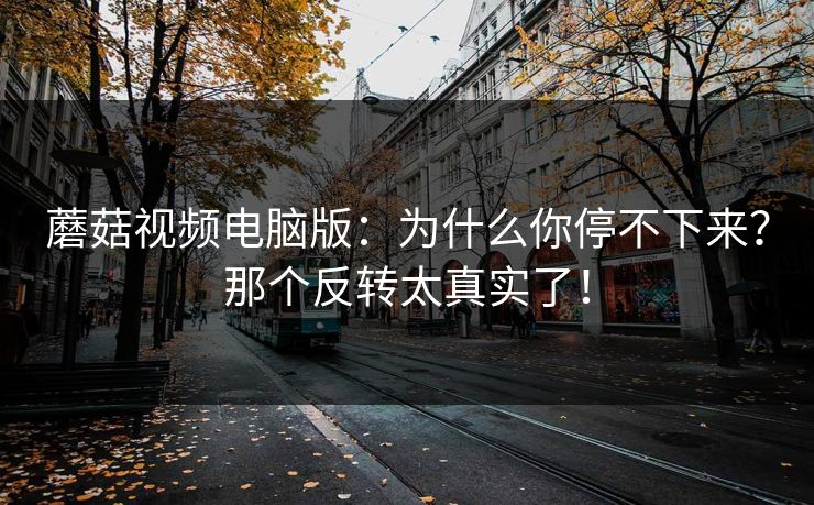 蘑菇视频电脑版：为什么你停不下来？那个反转太真实了！