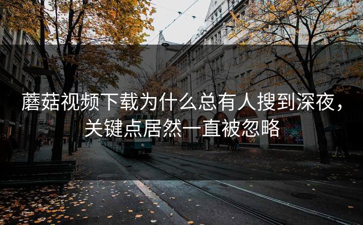 蘑菇视频下载为什么总有人搜到深夜，关键点居然一直被忽略