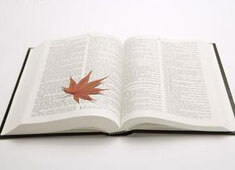 探秘蘑菇影视在线观看：为什么总有人说它后劲太大