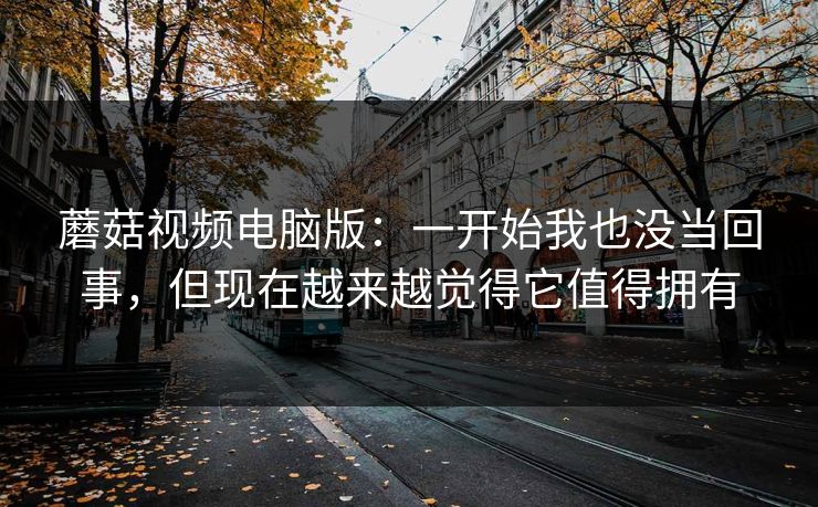 蘑菇视频电脑版：一开始我也没当回事，但现在越来越觉得它值得拥有