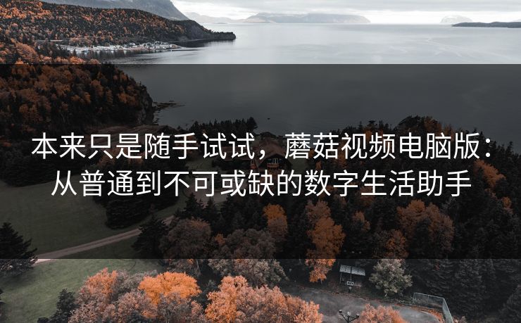 本来只是随手试试，蘑菇视频电脑版：从普通到不可或缺的数字生活助手