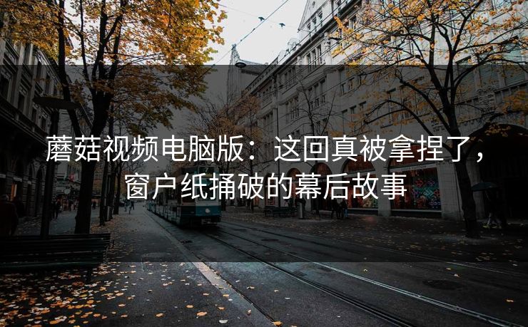 蘑菇视频电脑版：这回真被拿捏了，窗户纸捅破的幕后故事