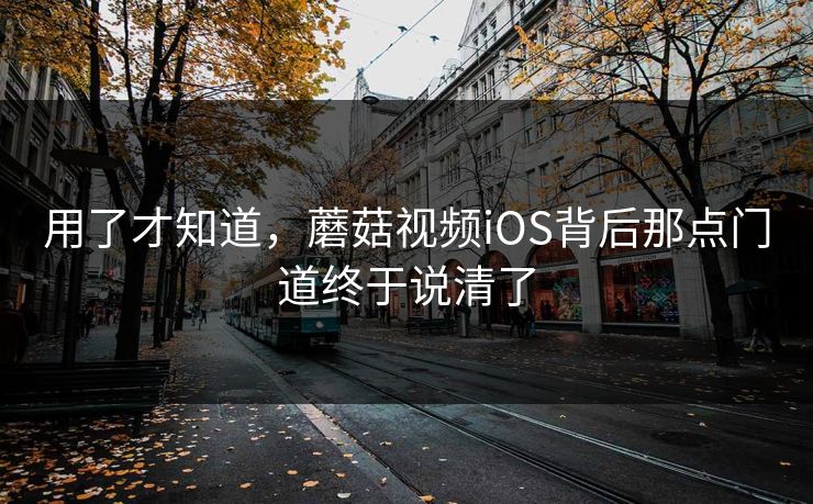用了才知道，蘑菇视频iOS背后那点门道终于说清了