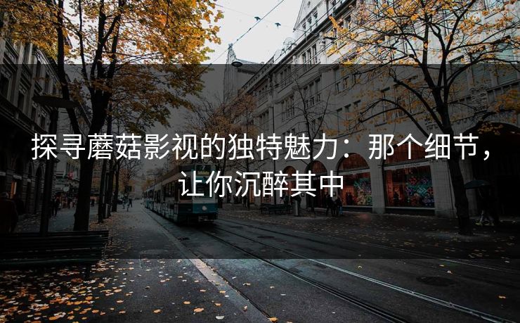 探寻蘑菇影视的独特魅力：那个细节，让你沉醉其中