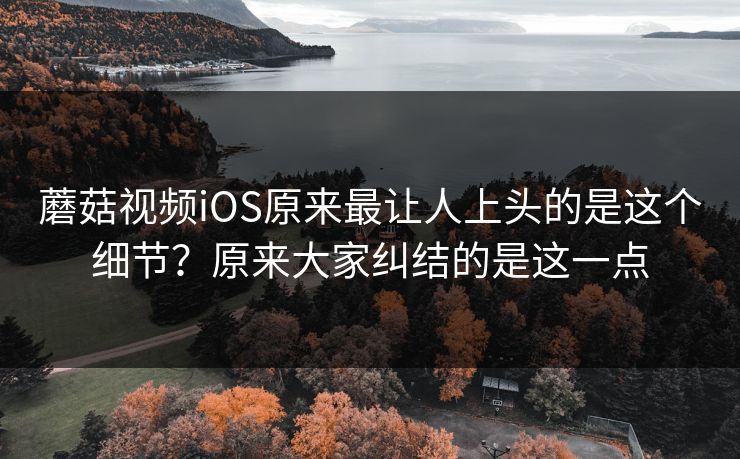 蘑菇视频iOS原来最让人上头的是这个细节?原来大家纠结的是这一点 蘑菇视频iOS原来最让人上头的是这个细节?原来大家纠结的是这一点