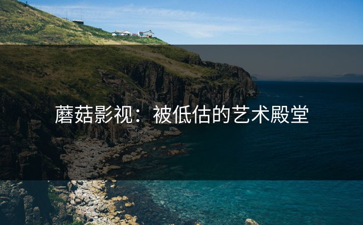 蘑菇影视:被低估的艺术殿堂 蘑菇影视:被低估的艺术殿堂