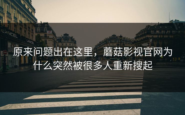 原来问题出在这里,蘑菇影视官网为什么突然被很多人重新搜起 原来问题出在这里,蘑菇影视官网为什么突然被很多人重新搜起